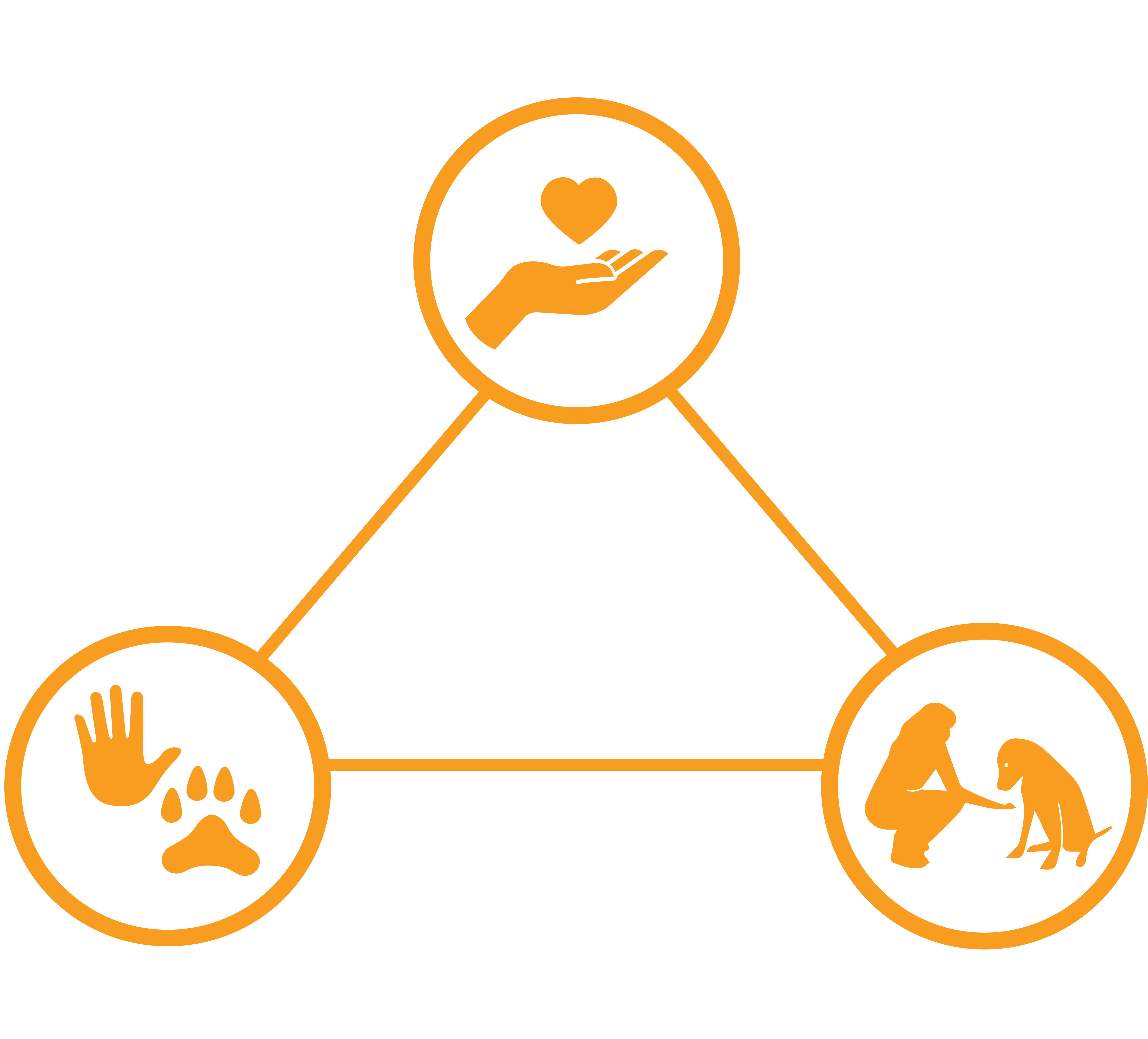 Care, Connections and Coexistence Chart
