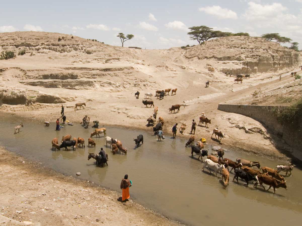 African life at the river - humans and animals share the same water source