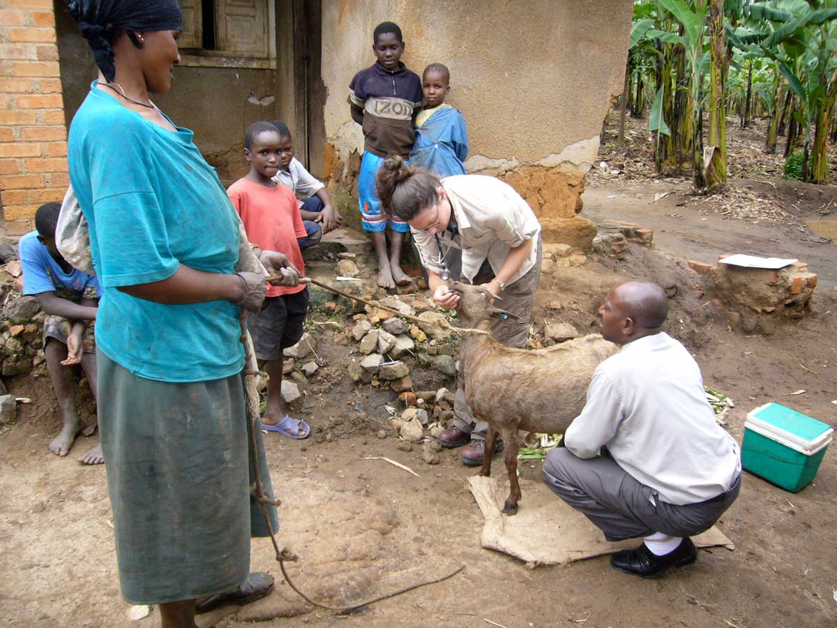 Dr. Scarlett examining a goat while a family watches
