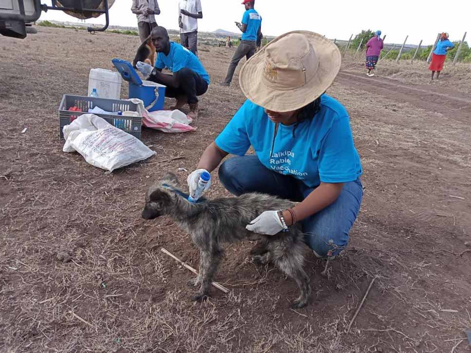 Dr. Grace marking a vaccinated dog
