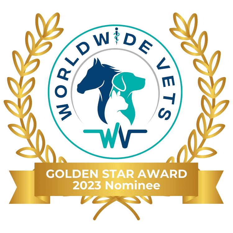 Worldwide Vets Golden Star Award 2023 Nominee