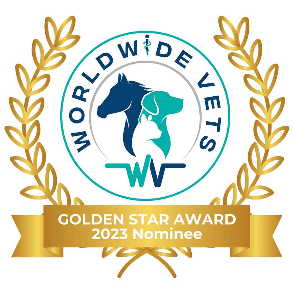 Worldwide Vets Golden Star Award 2023 Nominee